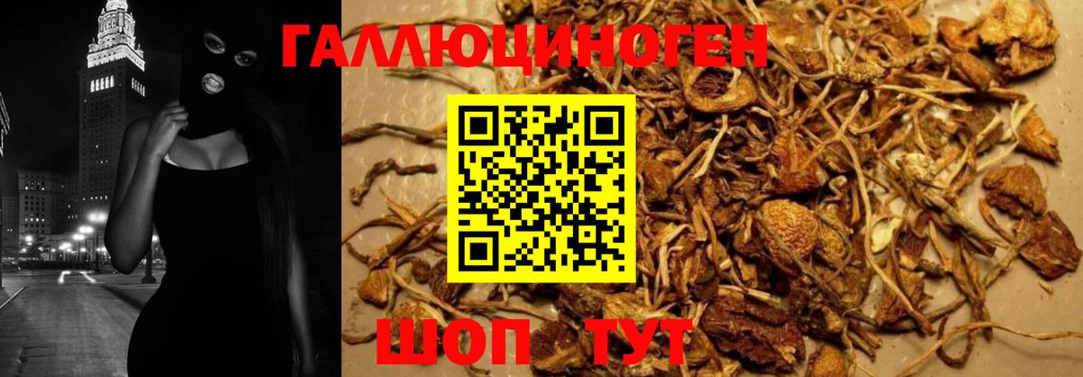 Псилоцибиновые грибы Magic Shrooms Сертолово