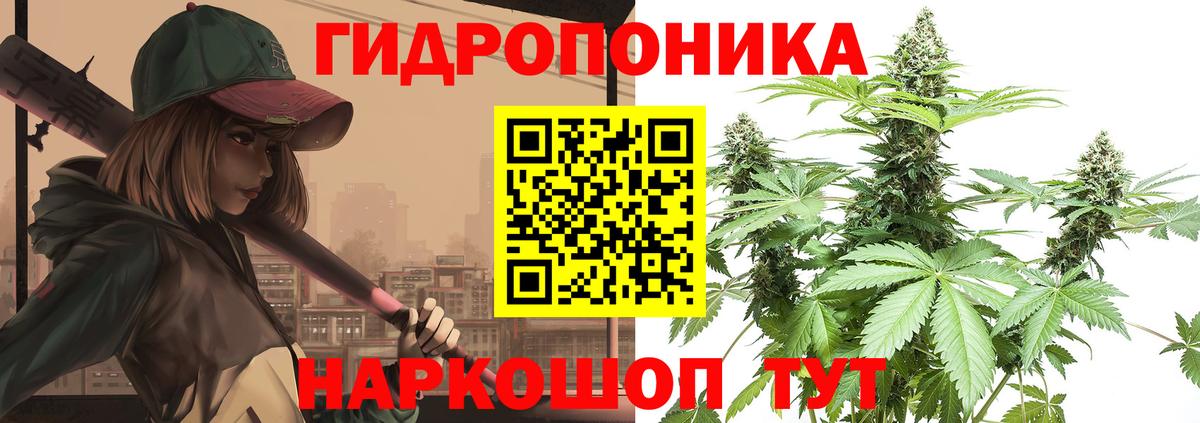 Конопля Amnesia Сертолово